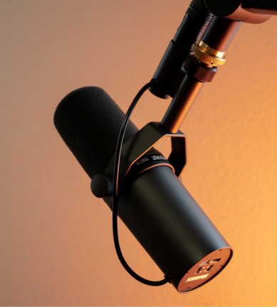 Mic